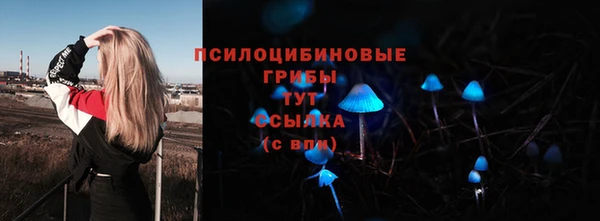 2c-b Алексеевка