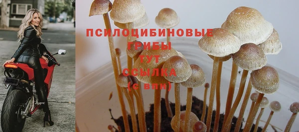 2c-b Алексеевка