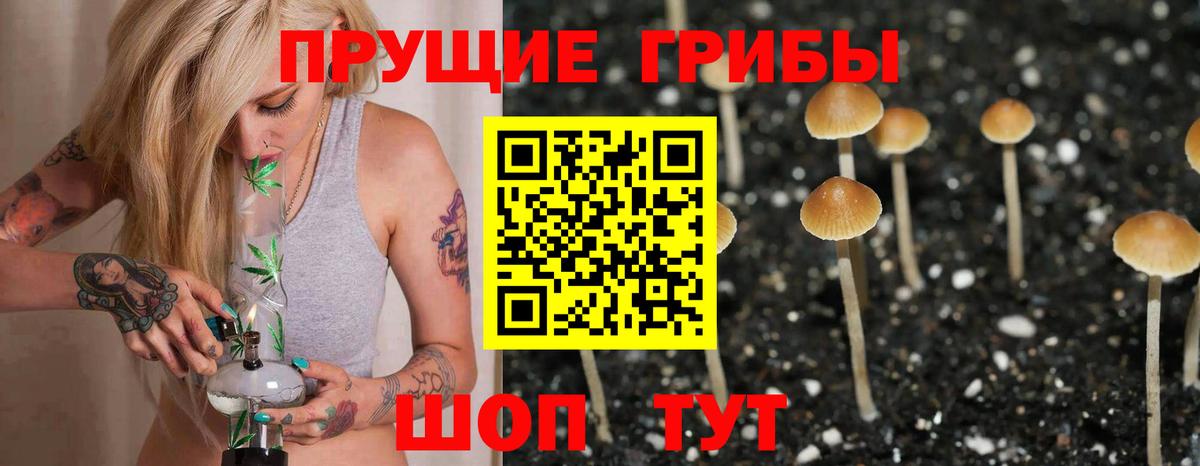 Псилоцибиновые грибы MAGIC MUSHROOMS  Псилоцибиновые грибы Psilocybine cubensis  Томск  Вход с VPN 